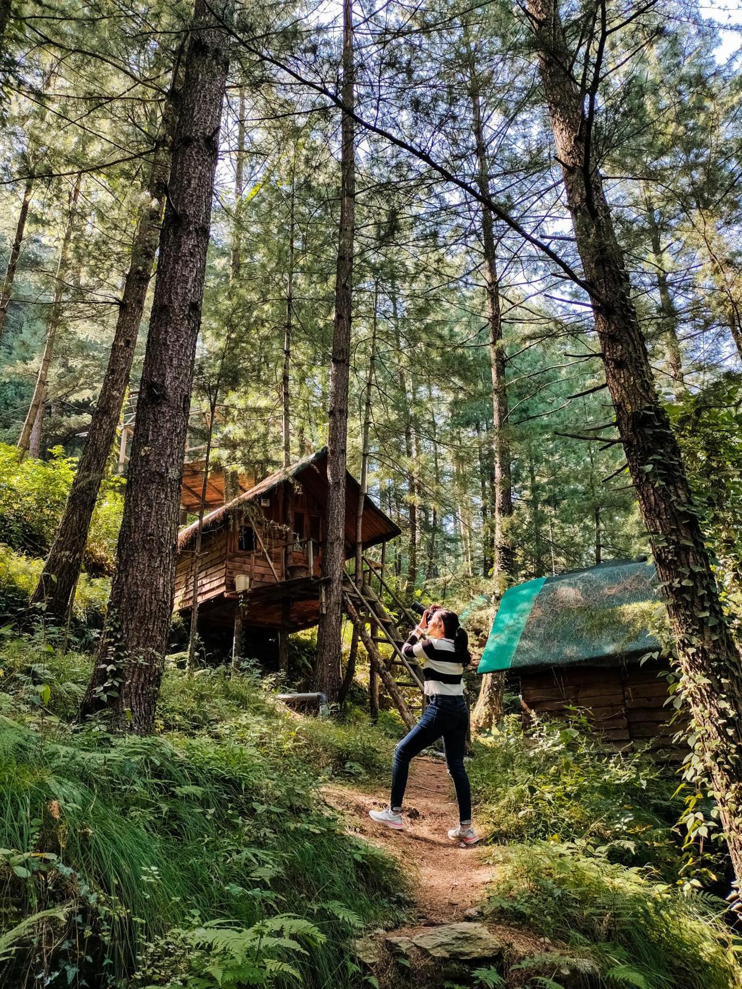 Livingstone Ojuven Treehouses Шимла Экстерьер фото