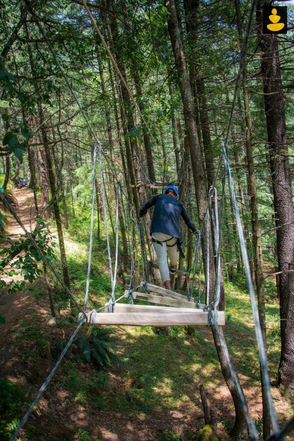 Livingstone Ojuven Treehouses Шимла Экстерьер фото
