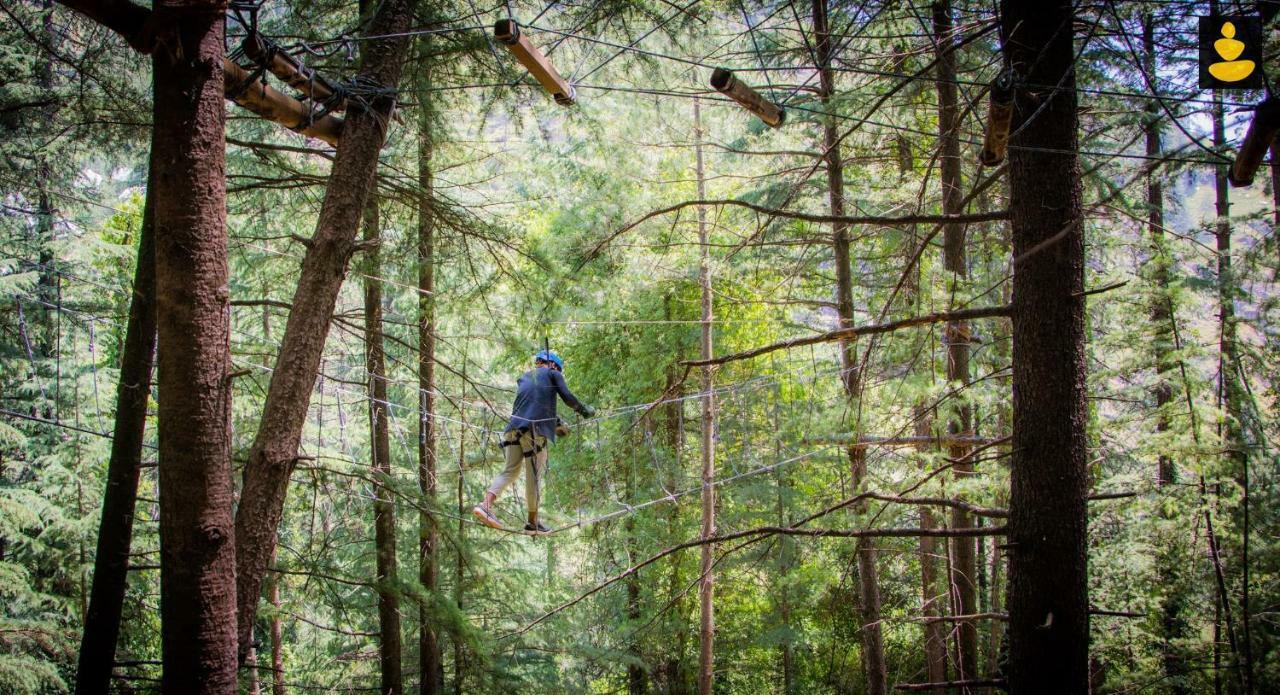 Livingstone Ojuven Treehouses Шимла Экстерьер фото